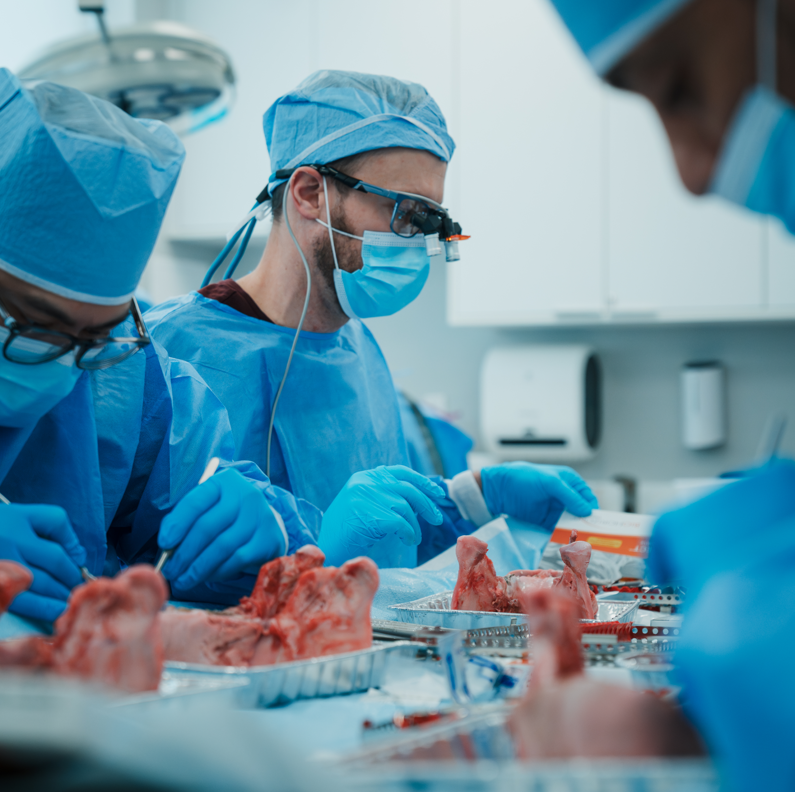 Hands-on surgical preparation on pig jaw model at ADI