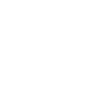 The Fortune Law Firm