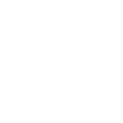 Clinical Journey icon
