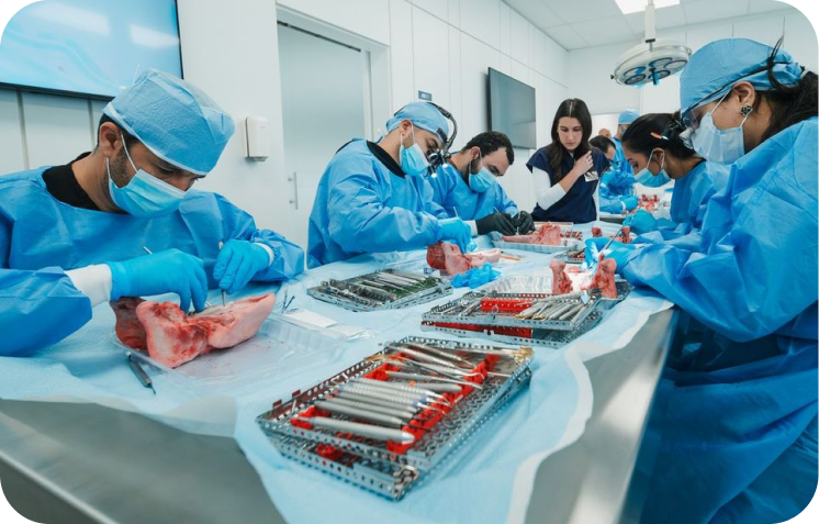 Hands-on clinical training session
