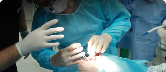 Single Implant Journey