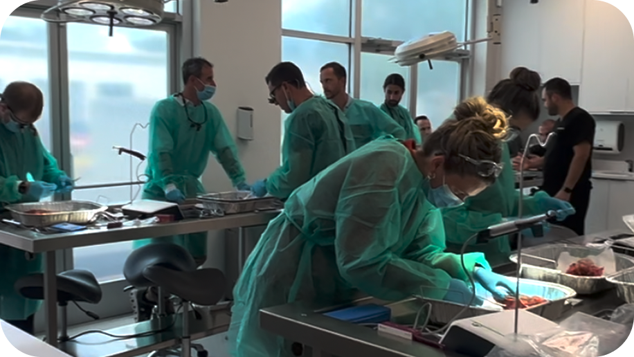 Group of dentists training together at the ADI Cadaver Lab near the window stations