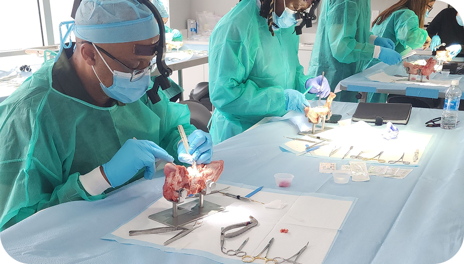 Close-up of hands-on cadaver training with surgical instruments