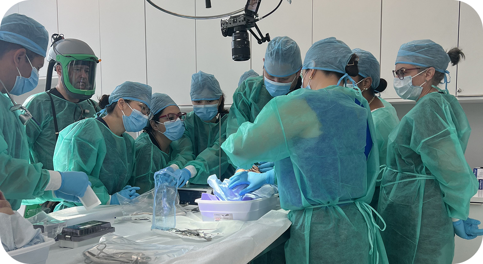 Group of dentists managing a complication scenario during cadaver training